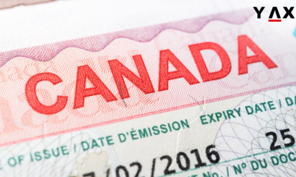 What You Need to Know Before Submitting Your Canada Visa Application 77