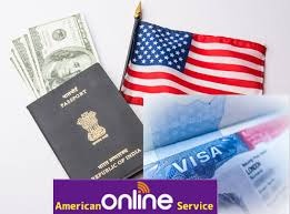 US Visa Onliner